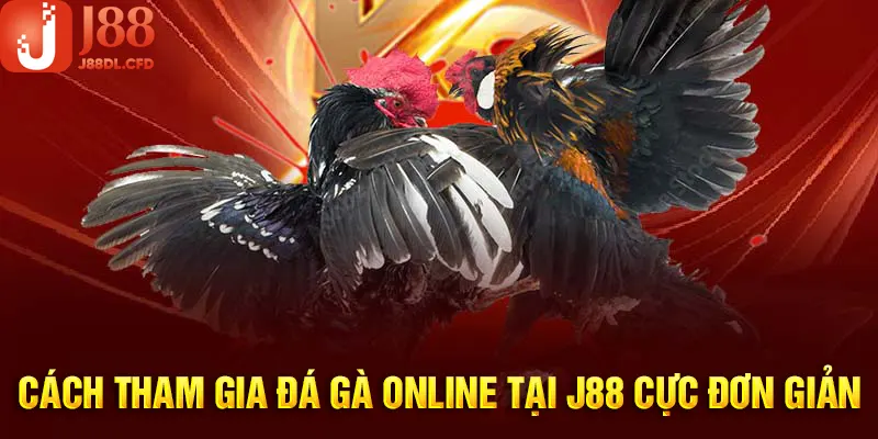 Cách chơi đá gà online tại J88 cực đơn giản và nhanh chóng